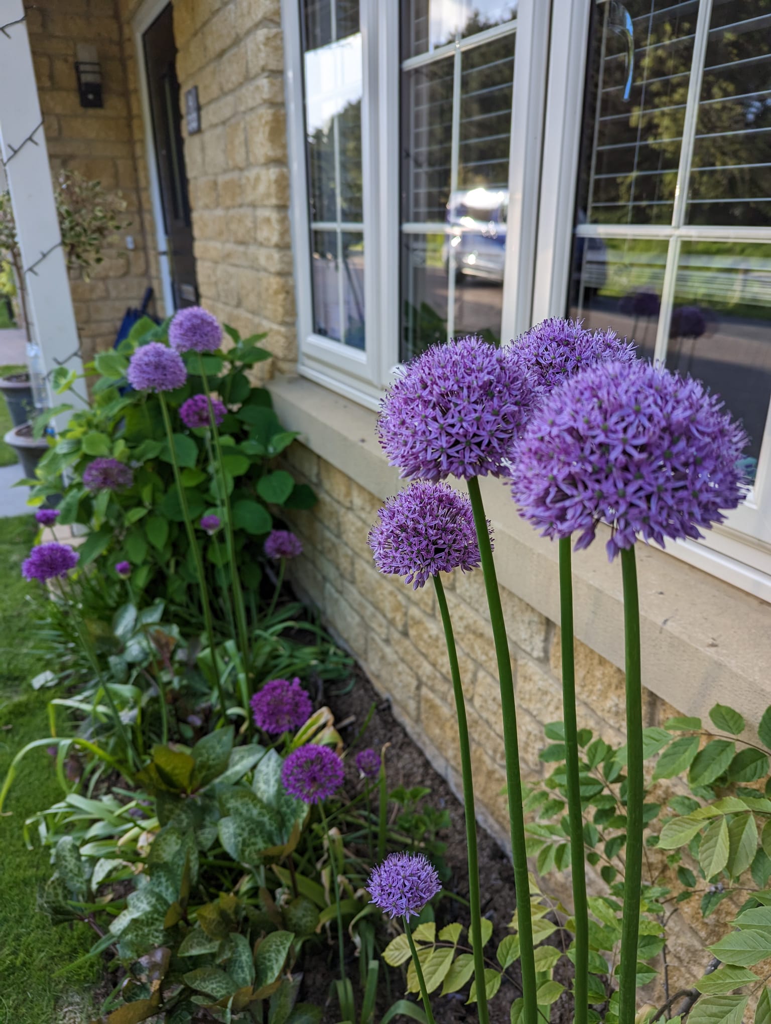 Bespoke Border Design