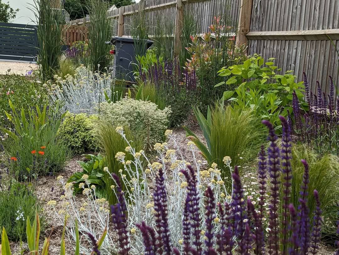 Custom Planting Schemes