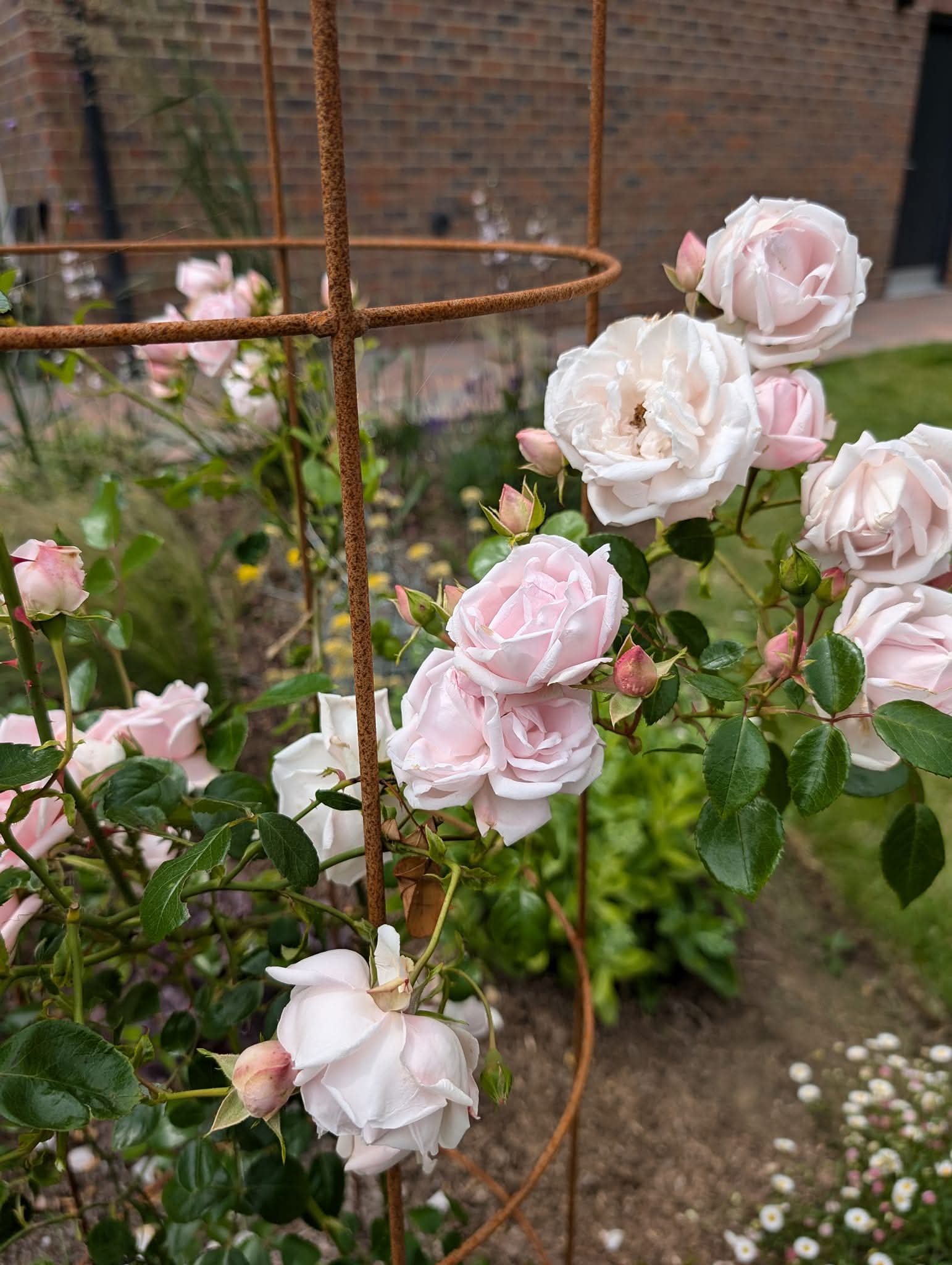 High-standard garden care in Oxfordshire