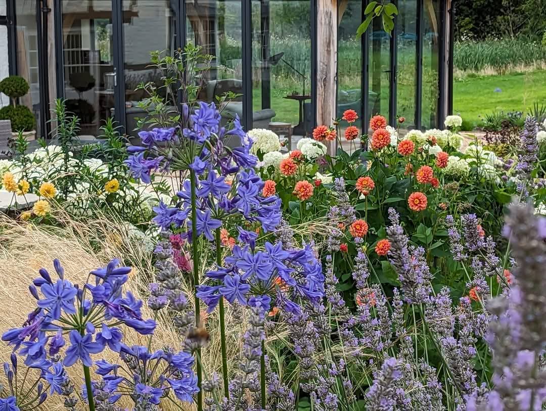 Custom Planting Schemes