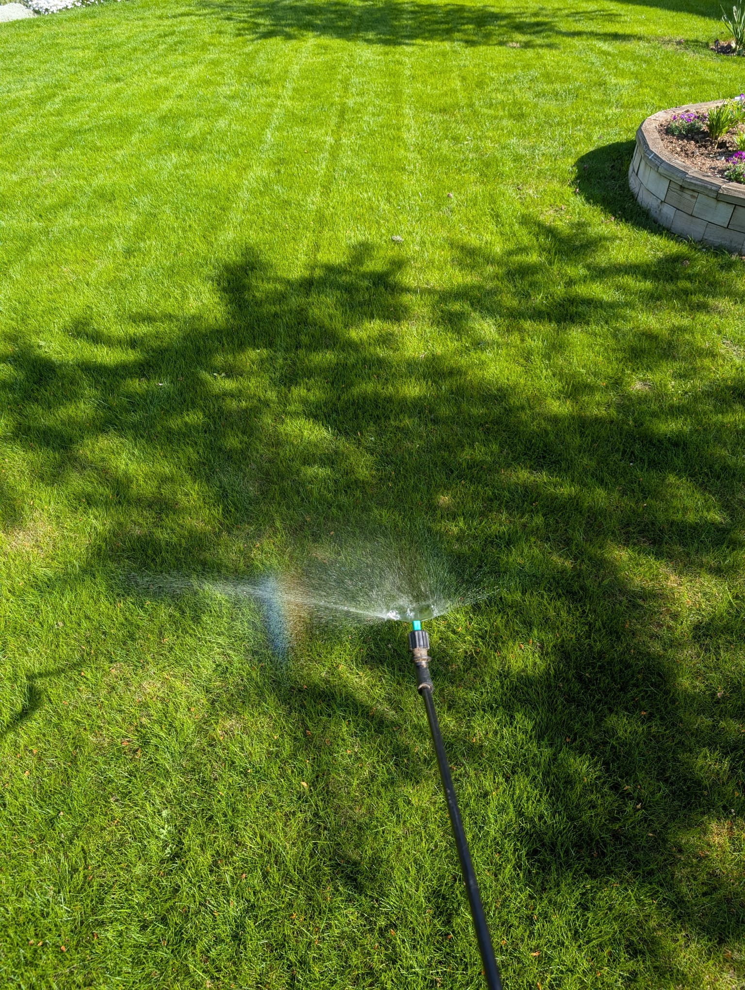 Full Lawn Renovations
