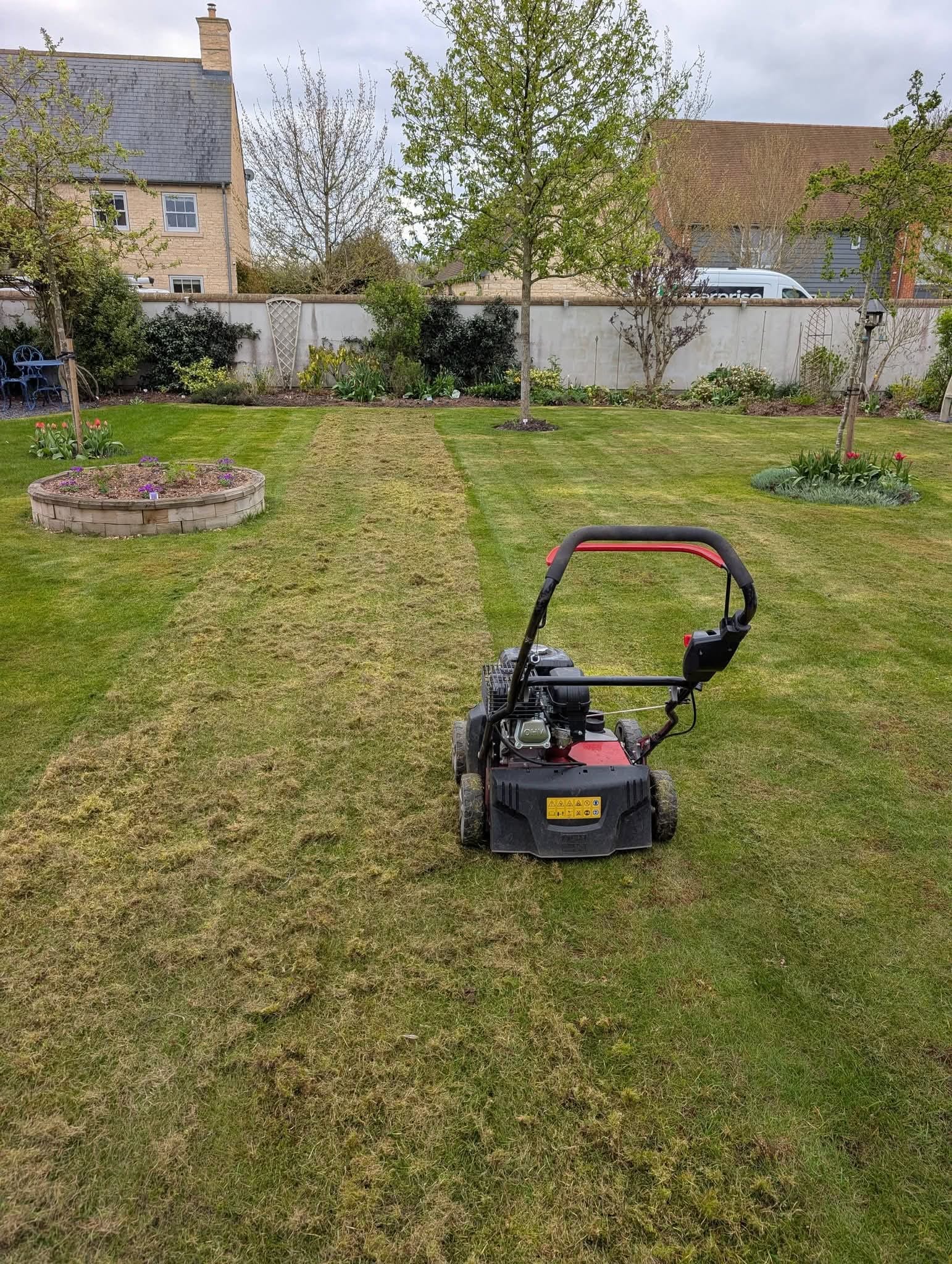 Lawn Weed Management
