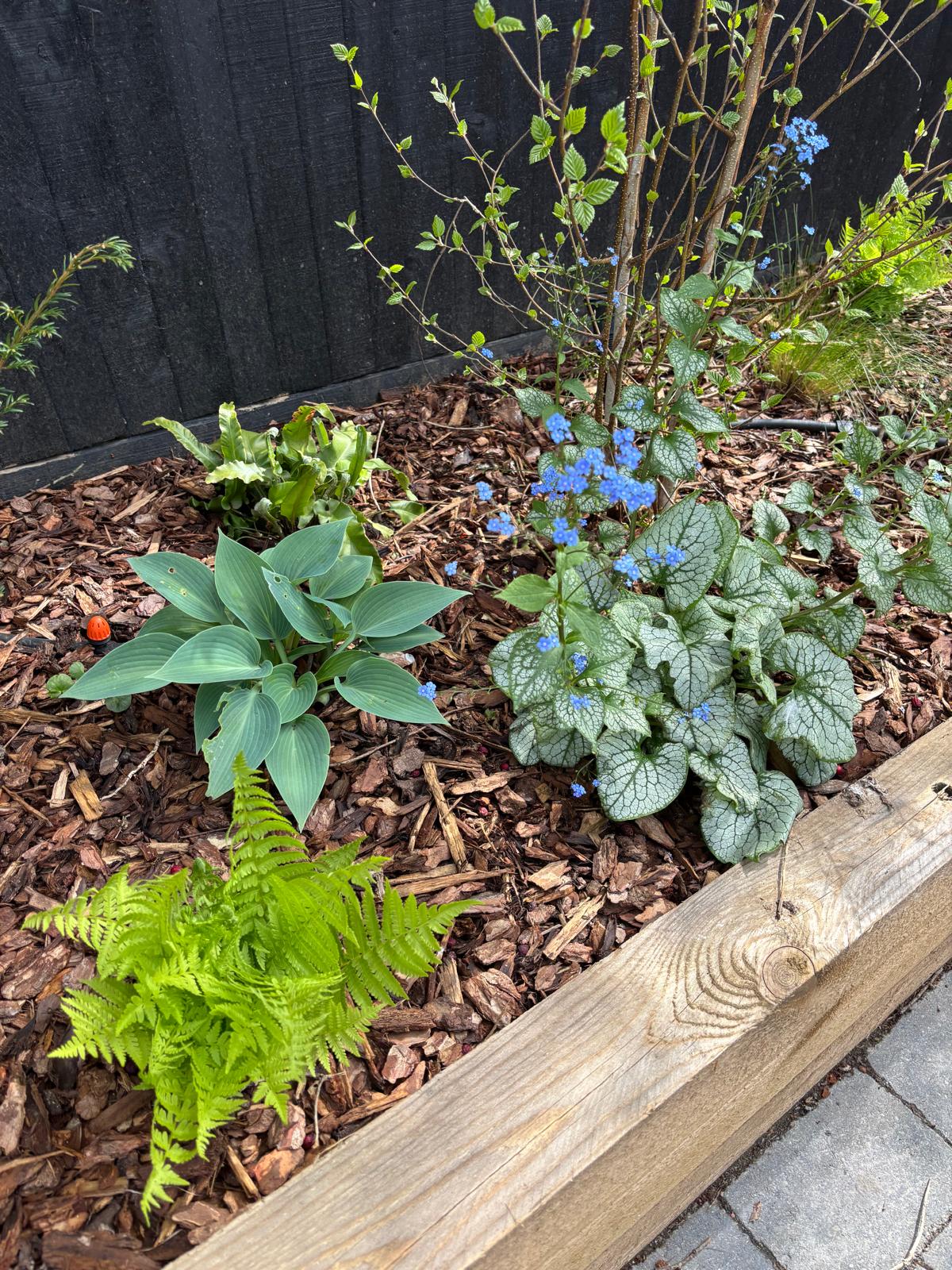 Plant Supply & Sourcing