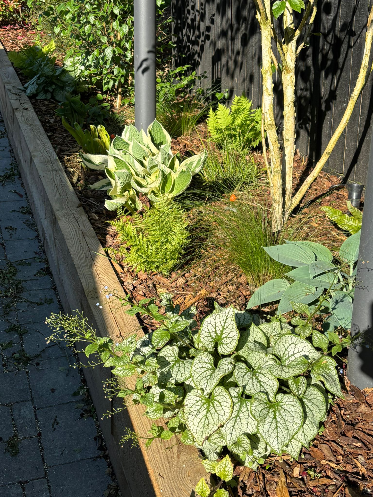 Plant Supply & Sourcing