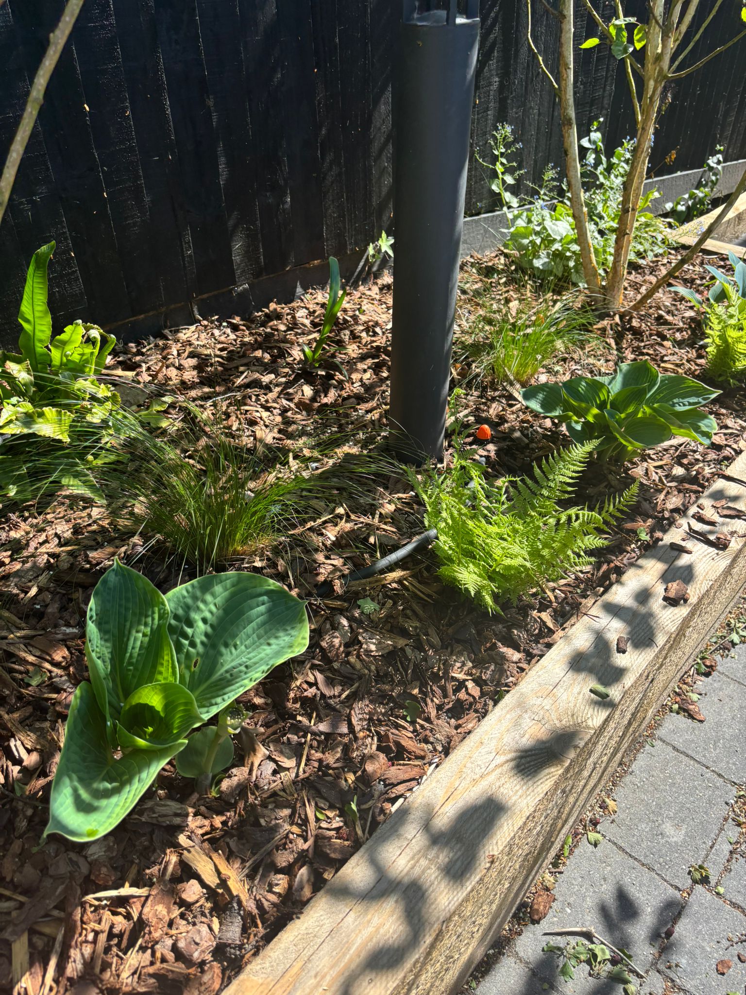 Plant Supply & Sourcing