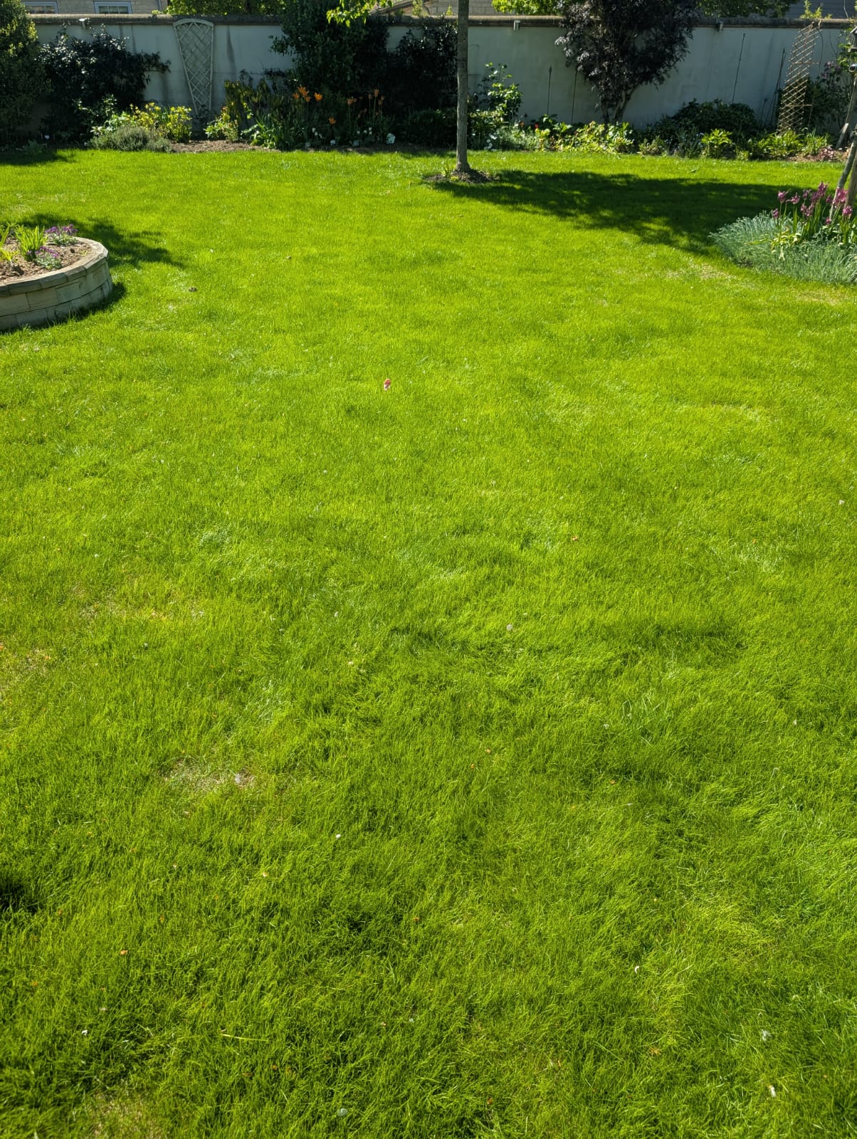 Routine Grass Cutting